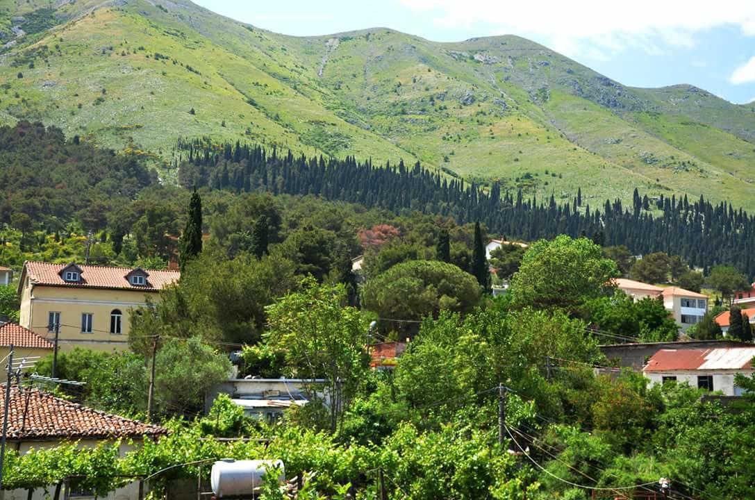 Hotel Shkodra Lake Shiroka Ngoại thất bức ảnh